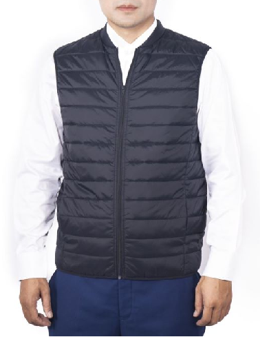 Men's down vest